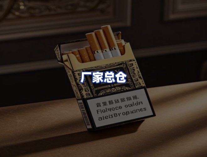 专业团队